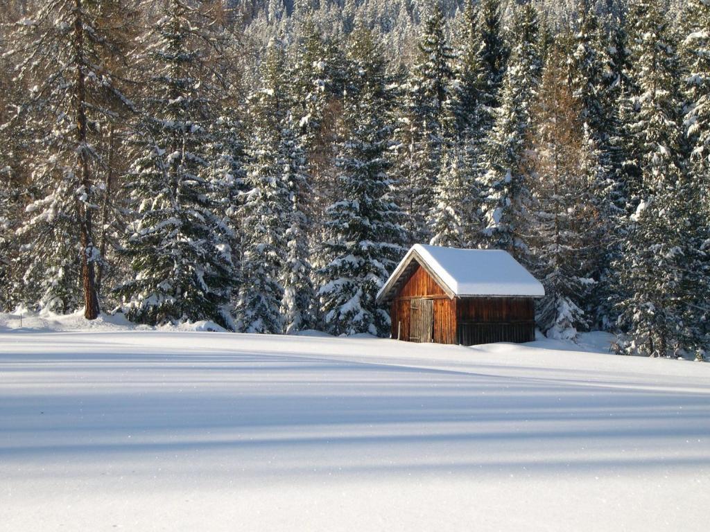 Pension Holzmann Leutasch Oda fotoğraf